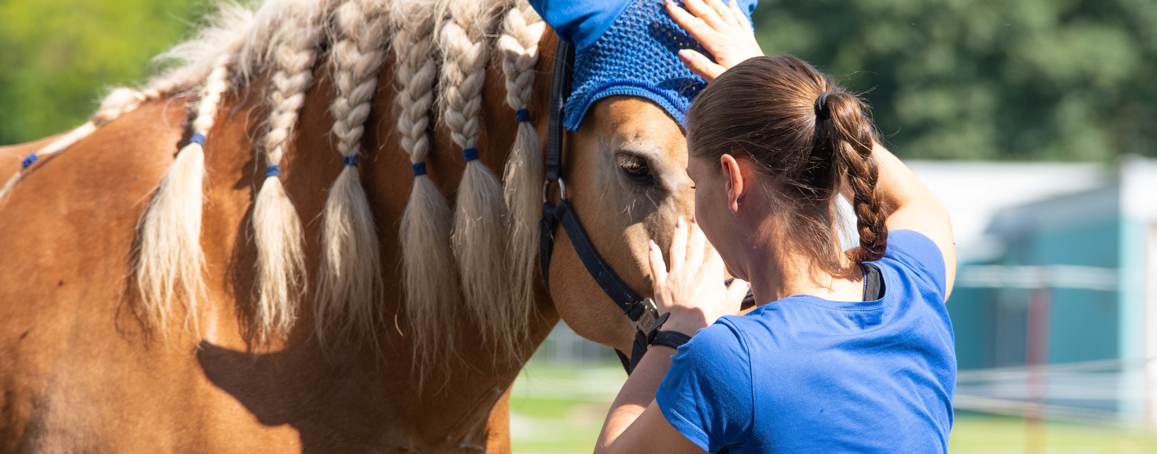 Die Reittherapeutin interagiert mit einem Pferd.