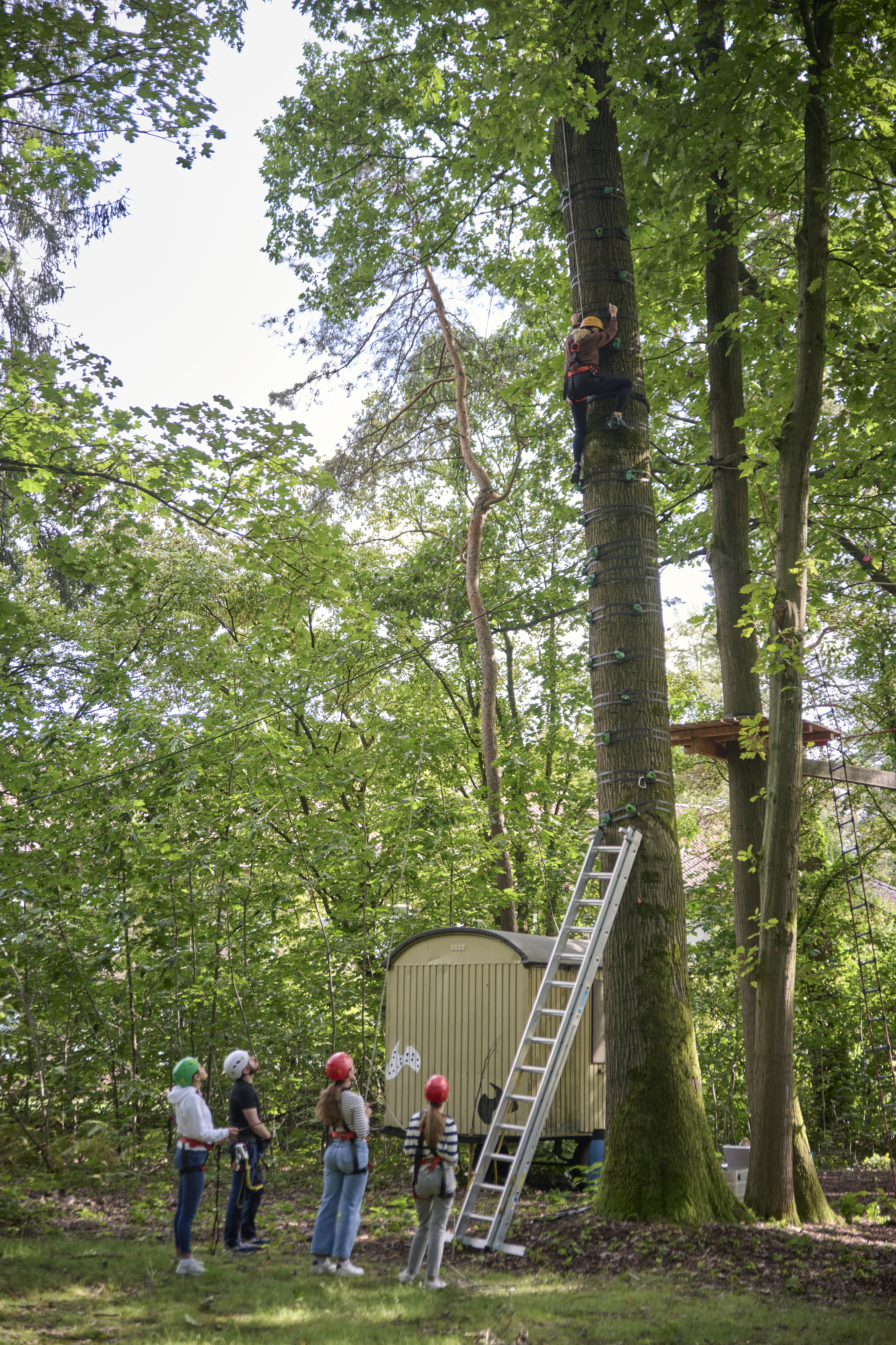 Das Bild zeigt mehrere Personen, die im Rahmen der Klettertherapie klettern.