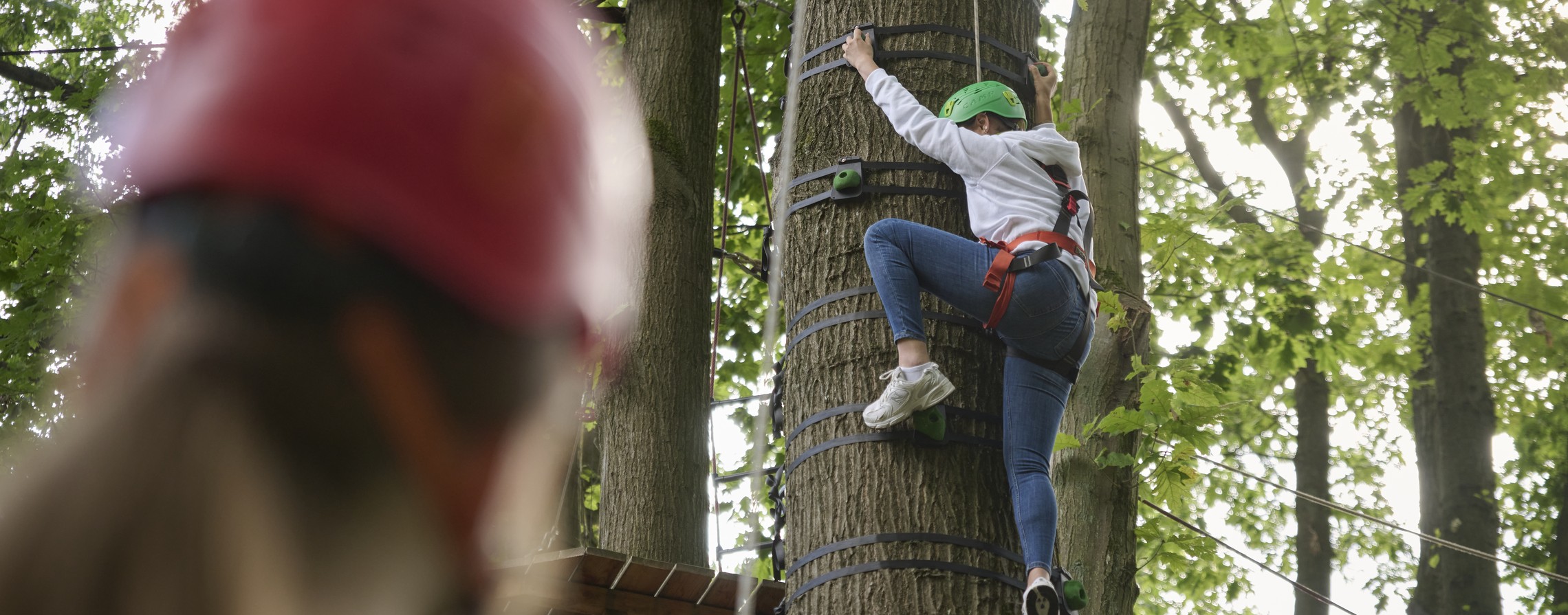 Ein Mädchen klettert an einem Baum hoch.