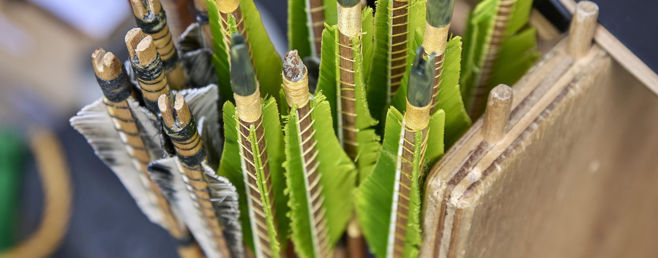 Das Bild zeigt mehrere Pfeile, die im Rahmen des Therapeutischen Bogenschießens genutzt werden.