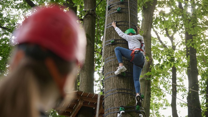 Das Bild zeigt wie ein Mädchen im Rahmen der Klettertherapie an einem Baum hochklettert.