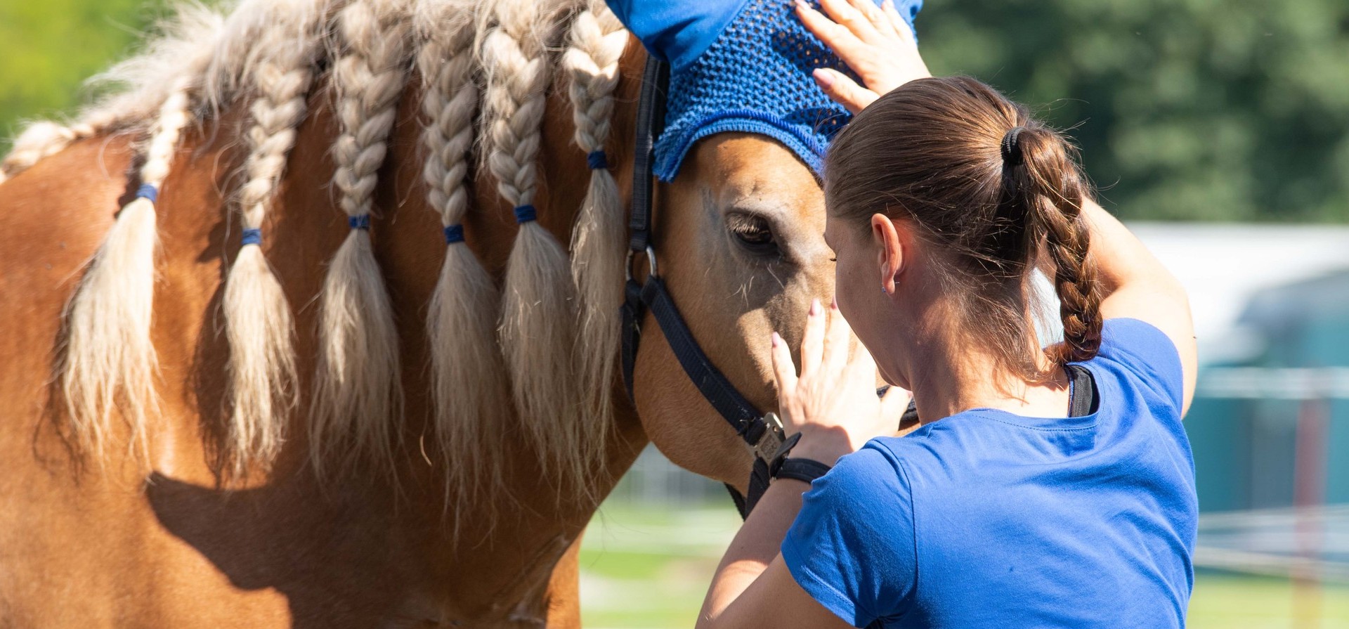 Die Reittherapeutin interagiert mit einem Pferd.