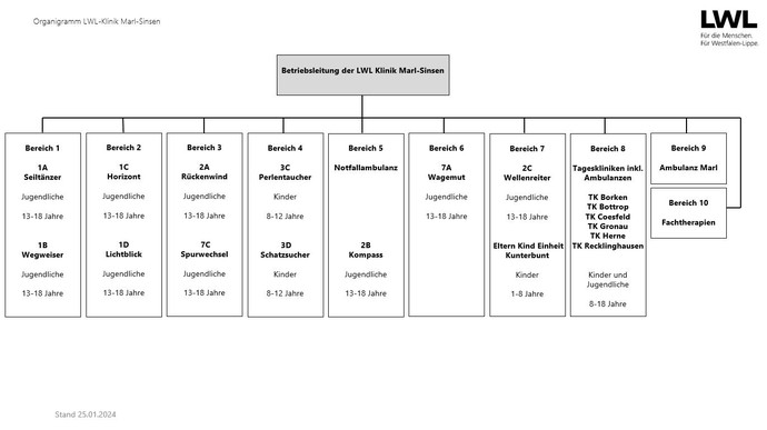 Das Bild zeigt ein Organigramm der Therapiebereiche der LWL-Klinik-Marl-Sinsen