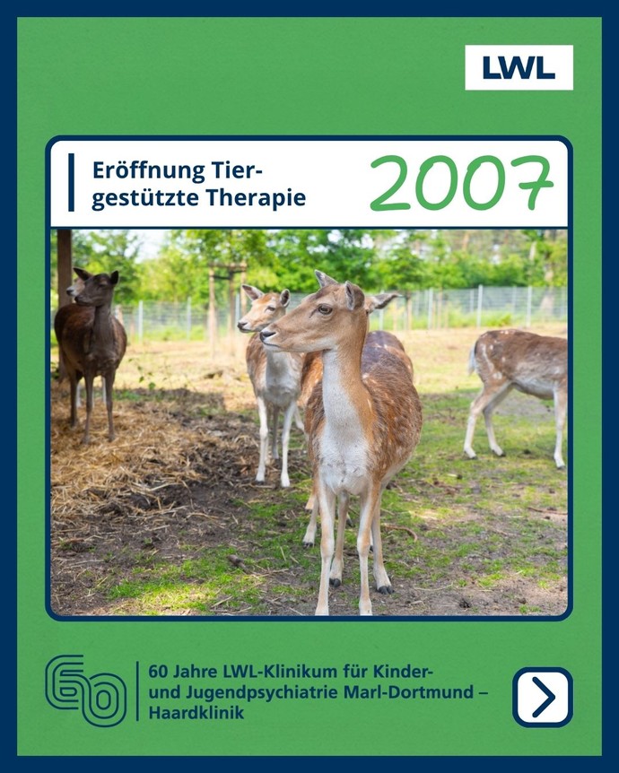 Geschichte der Klinik